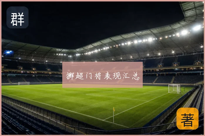 挪超门将表现汇总