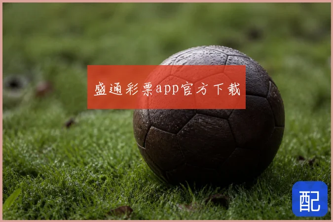 盛通彩票app官方下载